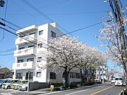 紫櫻ハイツの賃貸物件