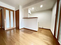 鹿児島市電2系統 加治屋町駅 徒歩20分の賃貸マンション 2階1LDKのリビング/ダイニング