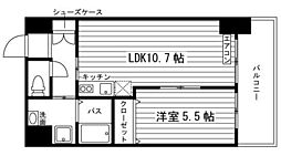 鹿児島市電2系統 高見橋駅 中央高校前下車 徒歩3分の賃貸マンション 6階1LDKの間取り