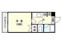 鹿児島市電2系統 市役所前駅 徒歩14分 5階/-