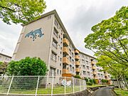 東郷駅より徒歩10分 1階 築53年9ヶ月の賃貸物件