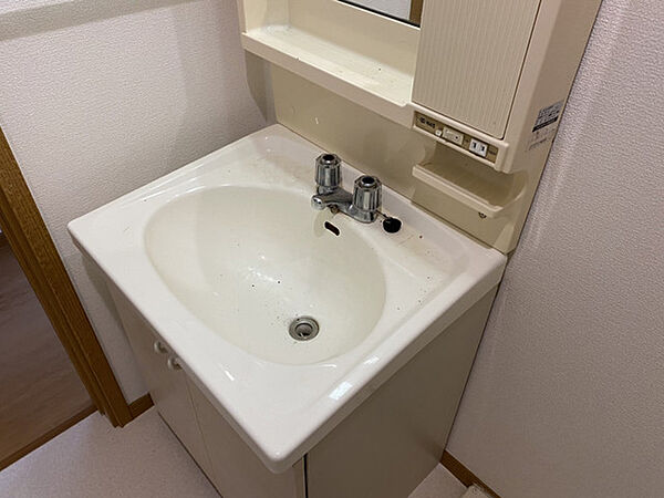 画像6:洗面所