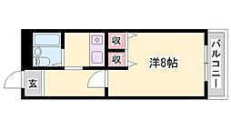 メゾンアライ 3階/-