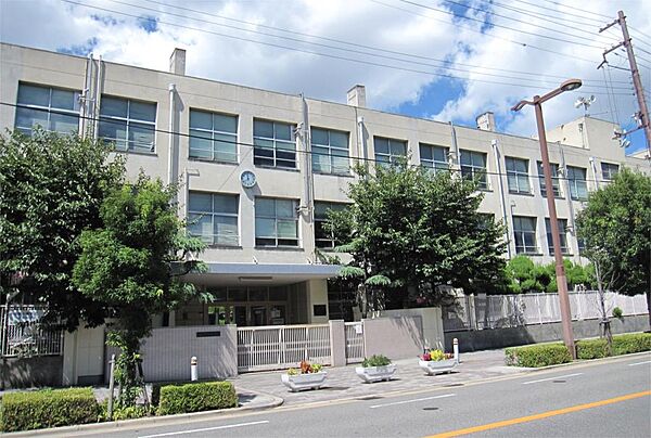 画像18:大阪市立港晴小学校（311m）