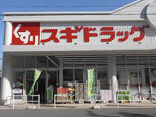 画像18:スギドラッグ 波除店（319m）