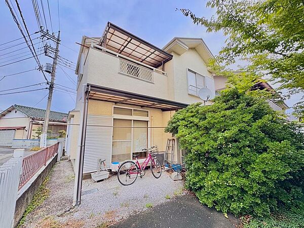 外観：313004416022