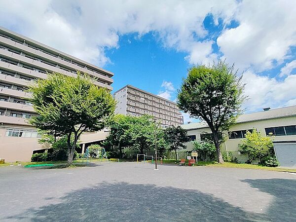 近隣公園からの現地写真♪