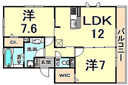 グレイスコスモス 2LDKの間取図画像