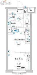 ラフィスタ二子玉川 1DKの間取図画像