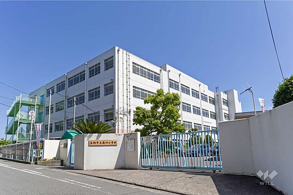 奥坂小学校[公立]の外観
