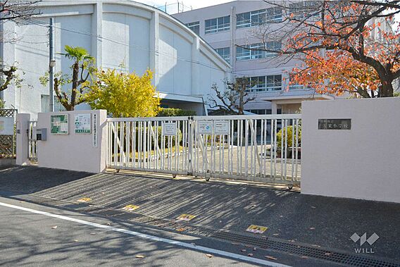 寿栄小学校[公...