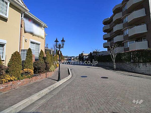 敷地西側の前面道路（南側から）