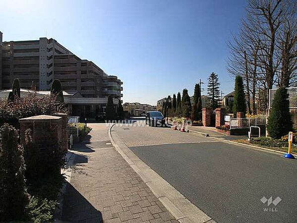 敷地西側の前面道路（北側から）