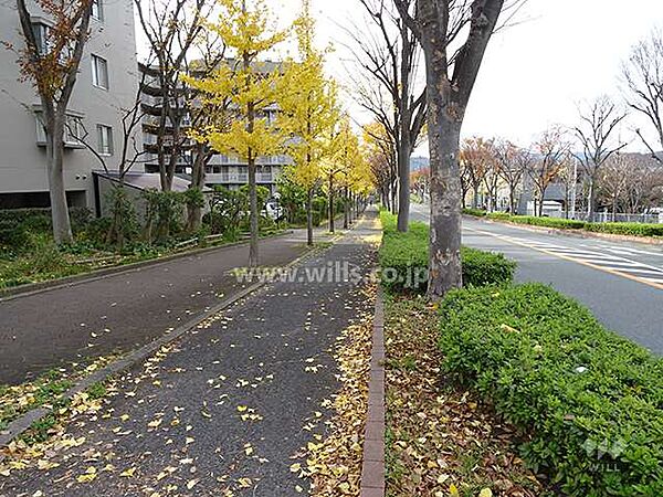 北側前面道路とマンション建物一部