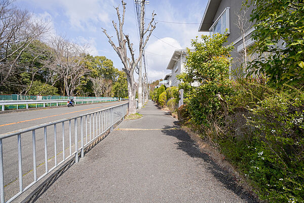 物件の西側前面道路（南側から）［2024年3月22日撮影］