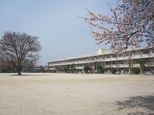apartment 群馬県前橋市住吉町1丁目8-11
地図を見る