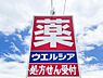 周辺：ウエルシア柏南増尾店　