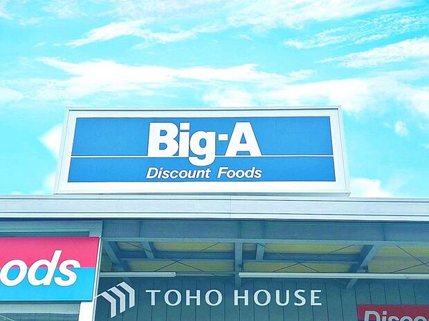 ビッグ・エー松戸常盤平二丁目店　