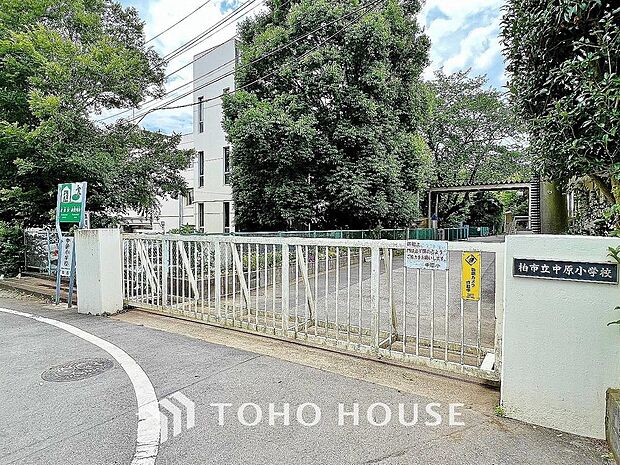 柏市立中原小学校