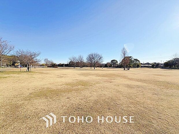 弁天ふれあいの森公園