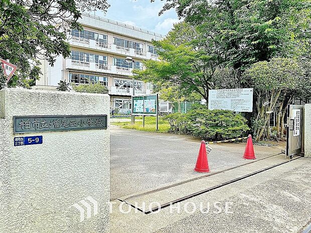 柏市立増尾西小学校