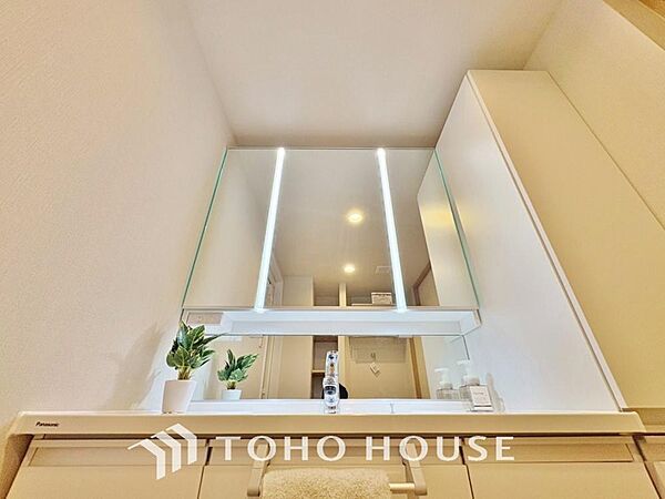 身だしなみのチェックがしやすい大きな鏡、下には収納がたっぷり。スッキリとした空間を演出いたします。