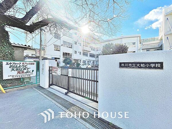大柏小学校　