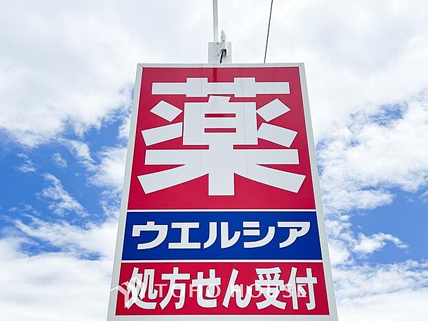 ウエルシア新取手戸頭店まで約1100m