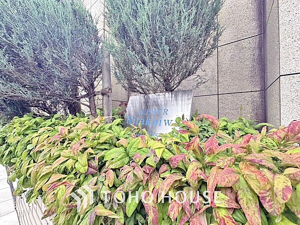 時間の経過と共に味わいが出る素敵なリゾート時間を楽しんでください。