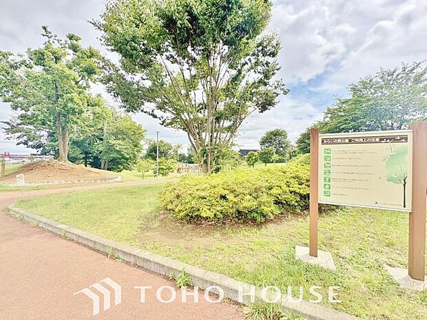 みらいの森公園
