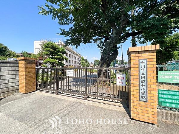 市川市立国府台小学校