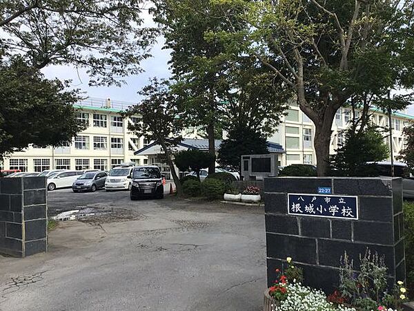 八戸市立根城小学校 230m