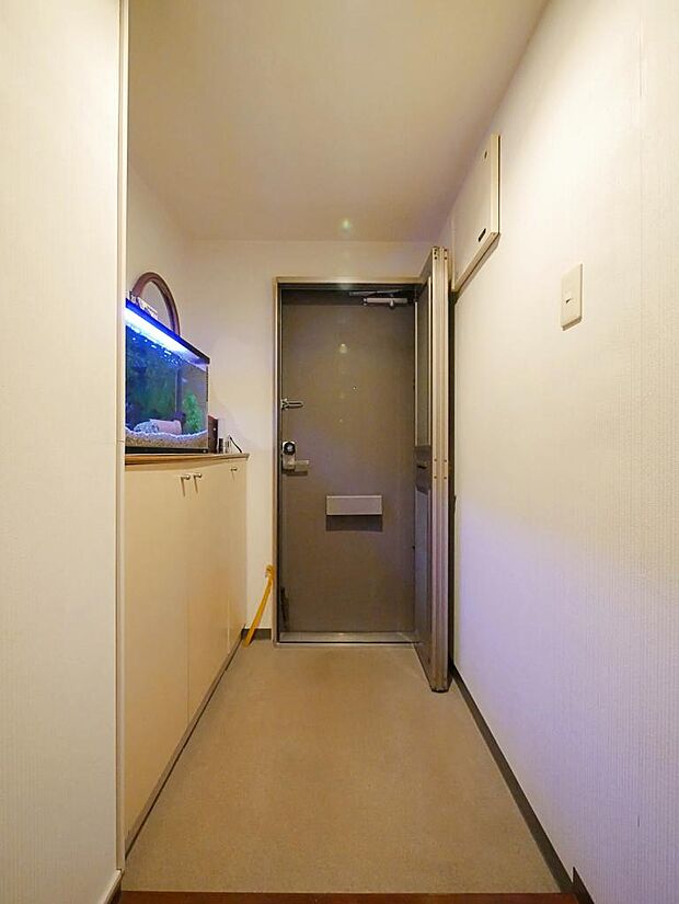 下駄箱収納と網戸付きの玄関。ポーチがありますので玄関開けても室内まで見えにくくなっています。