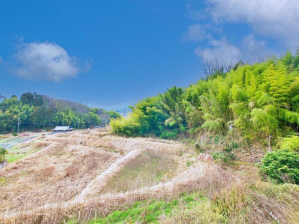 住居からはのどかな田園風景が広がる、心安らぐロケーション。視界を遮る建物が少なく、開放感あふれる眺望を楽しめます。