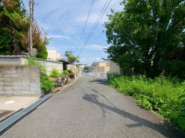 前面道路幅は約4mで、お車の出し入れもスムーズに行えます。