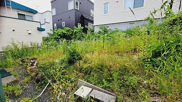 建物裏のお庭です。