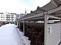 共有部の駐輪場...