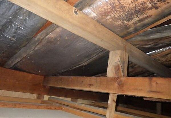 普段の生活ではなかなか見ることのない小屋裏までしっかりと点検を行います。