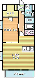 GALAXIEヴィーラブライト 1LDKの間取図画像