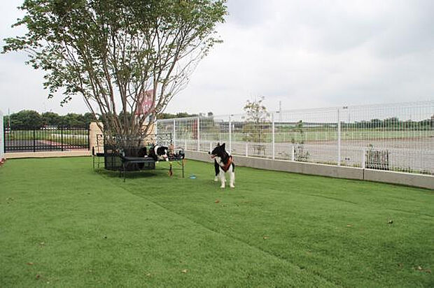 【公園】上里　カンターレドッグランまで1603ｍ