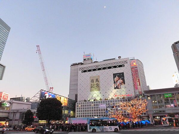 東京都渋谷区南平台町(賃貸マンション1LDK・12階・40.21㎡)の写真 その15