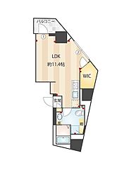 サクラスプリング高輪 11階ワンルームの間取り
