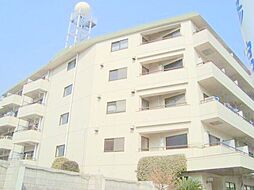 山王ハマセイホウ