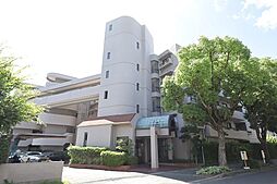 東急ドエル・アルス津雲台