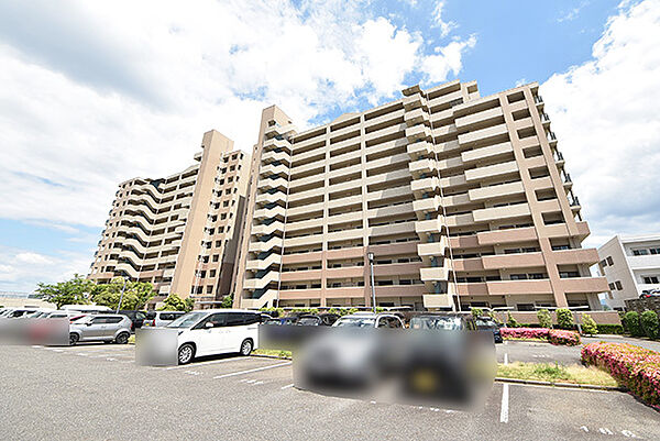 外観：334000240369