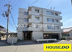 グランコート加古川南　4階　クロス張替済