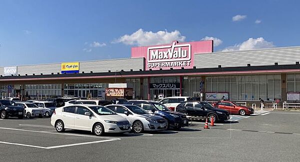 マックスバリュ野口店マックスバリュ野口店 790m