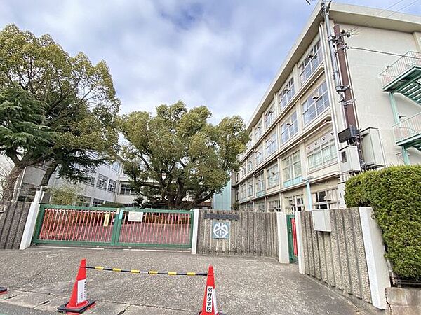 加古川市立別府小学校 560m