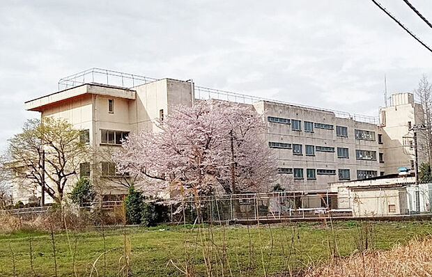 並木小学校(400m)