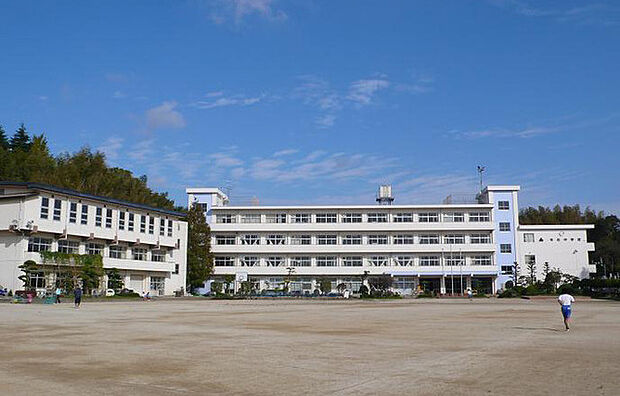 布佐中学校（774m）